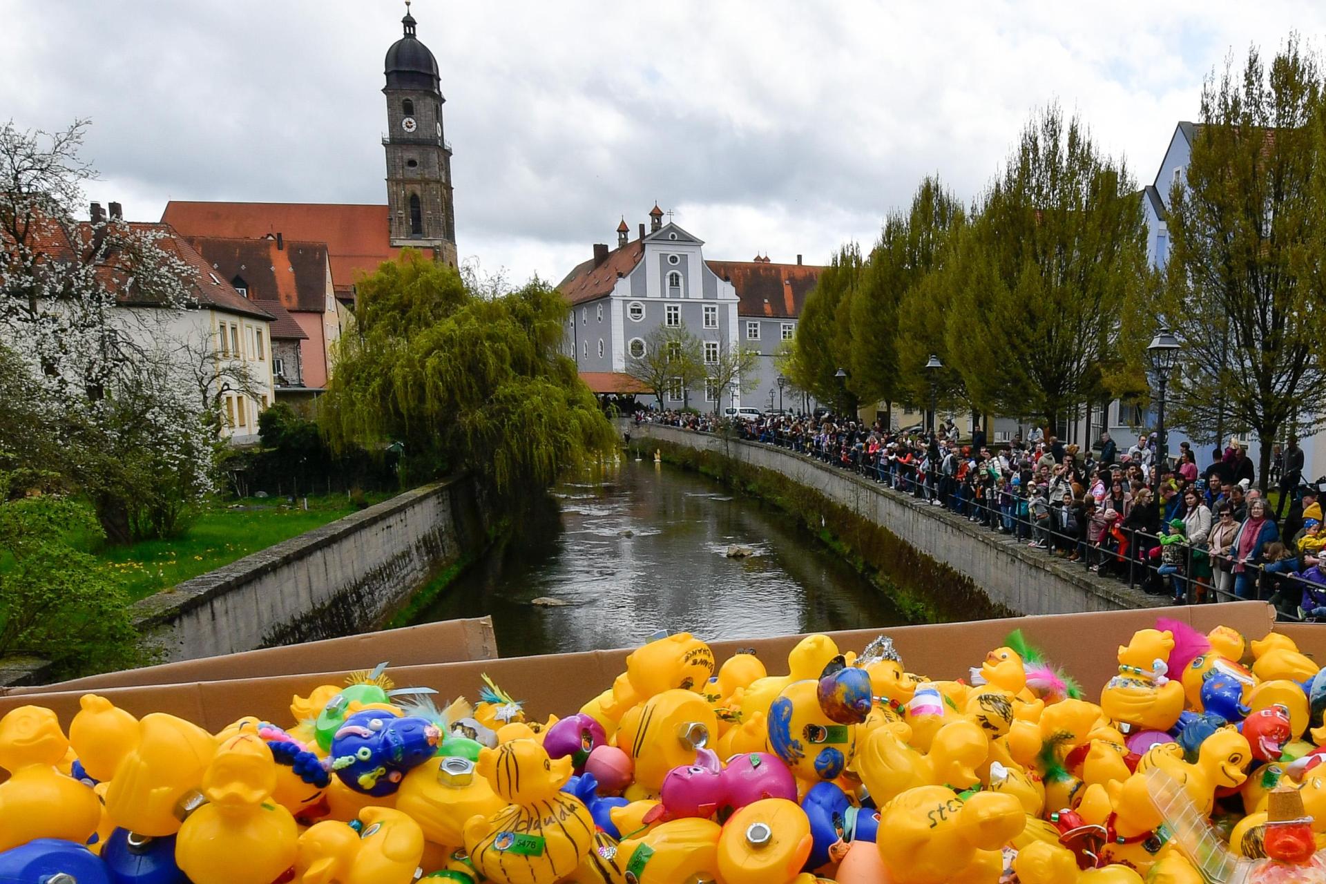 Das Entenrennen beginnt am Sonntag, 28. April, um 15 Uhr auf der Brücke an der Fronfestgasse. Doch am Wochenende 27./28. April ist in Amberg noch viel mehr geboten. (Archivbild: Petra Hartl)