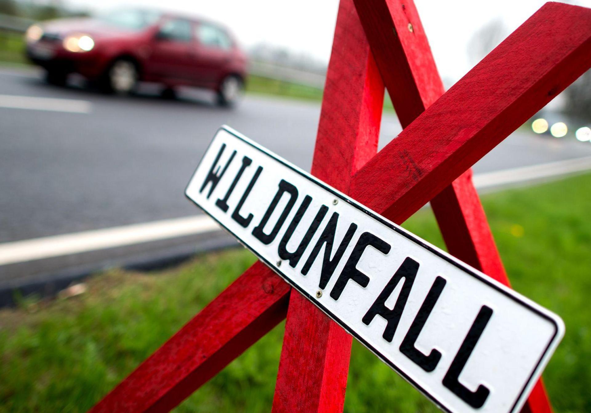 Bei Greßmühle hat es einen Wildunfall gegeben: Ein Rehbock ist hier vor einem Motorradfahrer auf die Straße gesprungen. (Symbolbild: Hauke-Christian Dittrich/dpa)