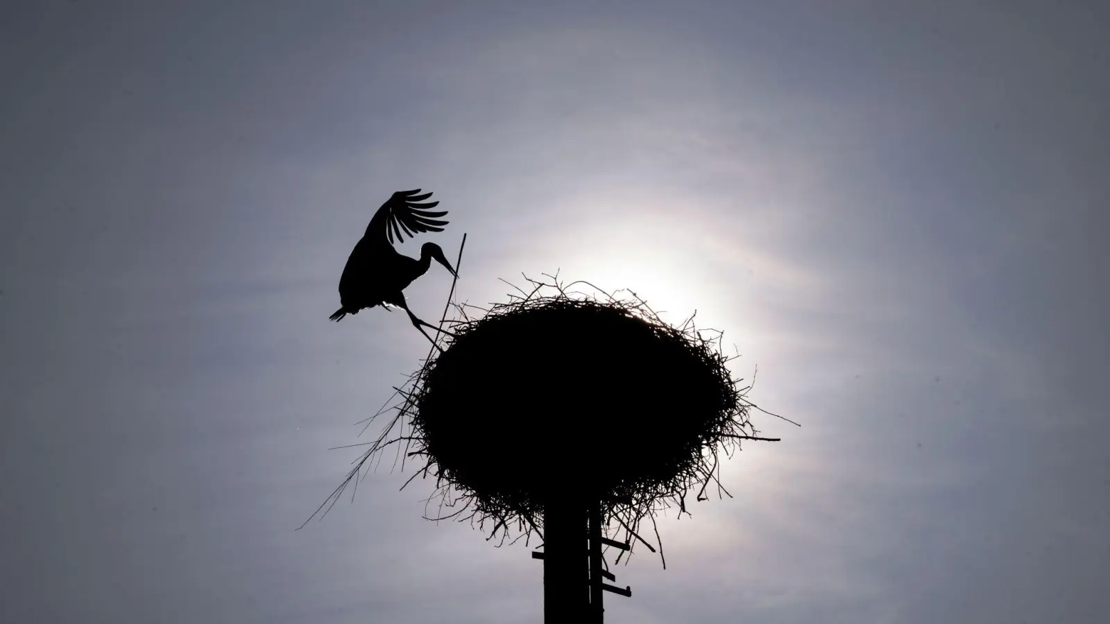 Zu Beginn der Pfingstferien sollen die Temperaturen deutlich steigen. (Archivbild)  (Bild: Pia Bayer/dpa)