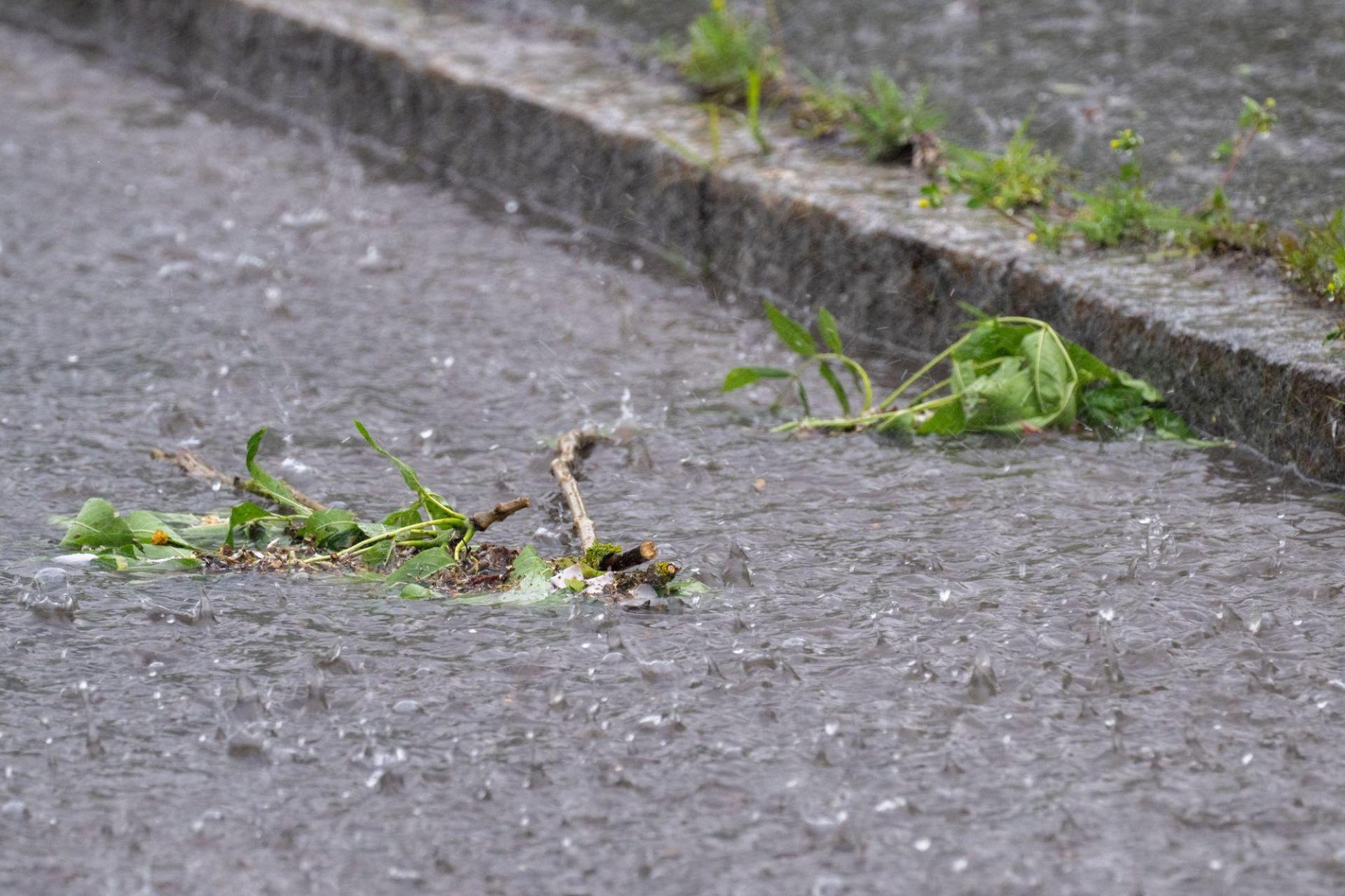 Der Sonntag fällt in Bayern vielerorts ins Wasser.  (Bild: Pia Bayer/dpa)