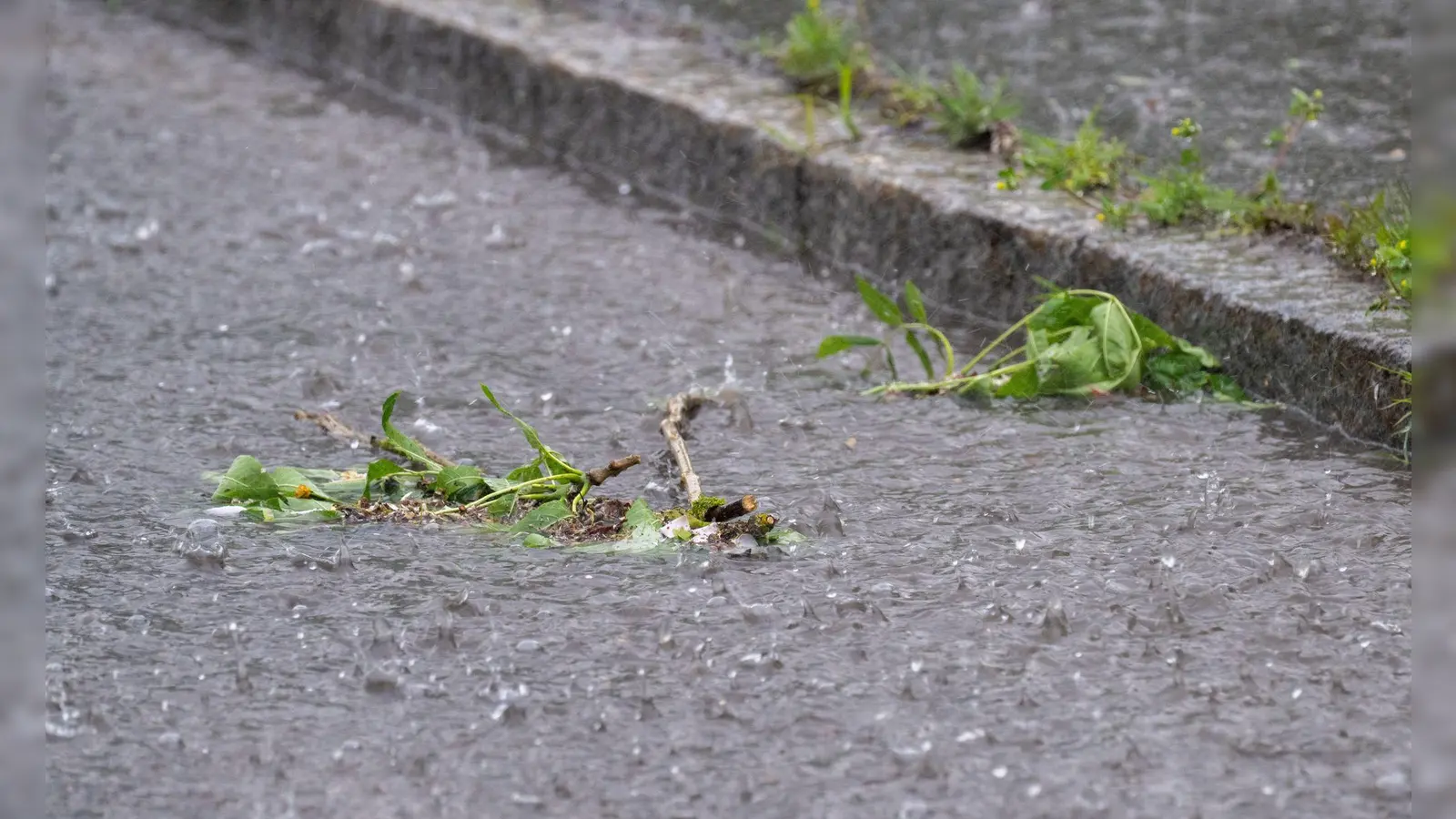 Der Sonntag fällt in Bayern vielerorts ins Wasser.  (Bild: Pia Bayer/dpa)
