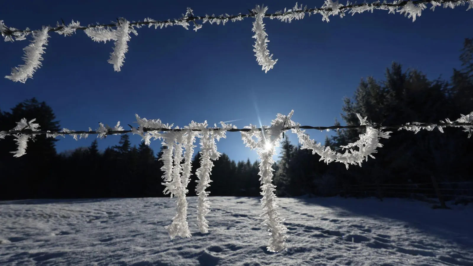 Das Jahresende wird sonnig und frostig in Bayern. (Symbolbild: Karl-Josef Hildenbrand/dpa)