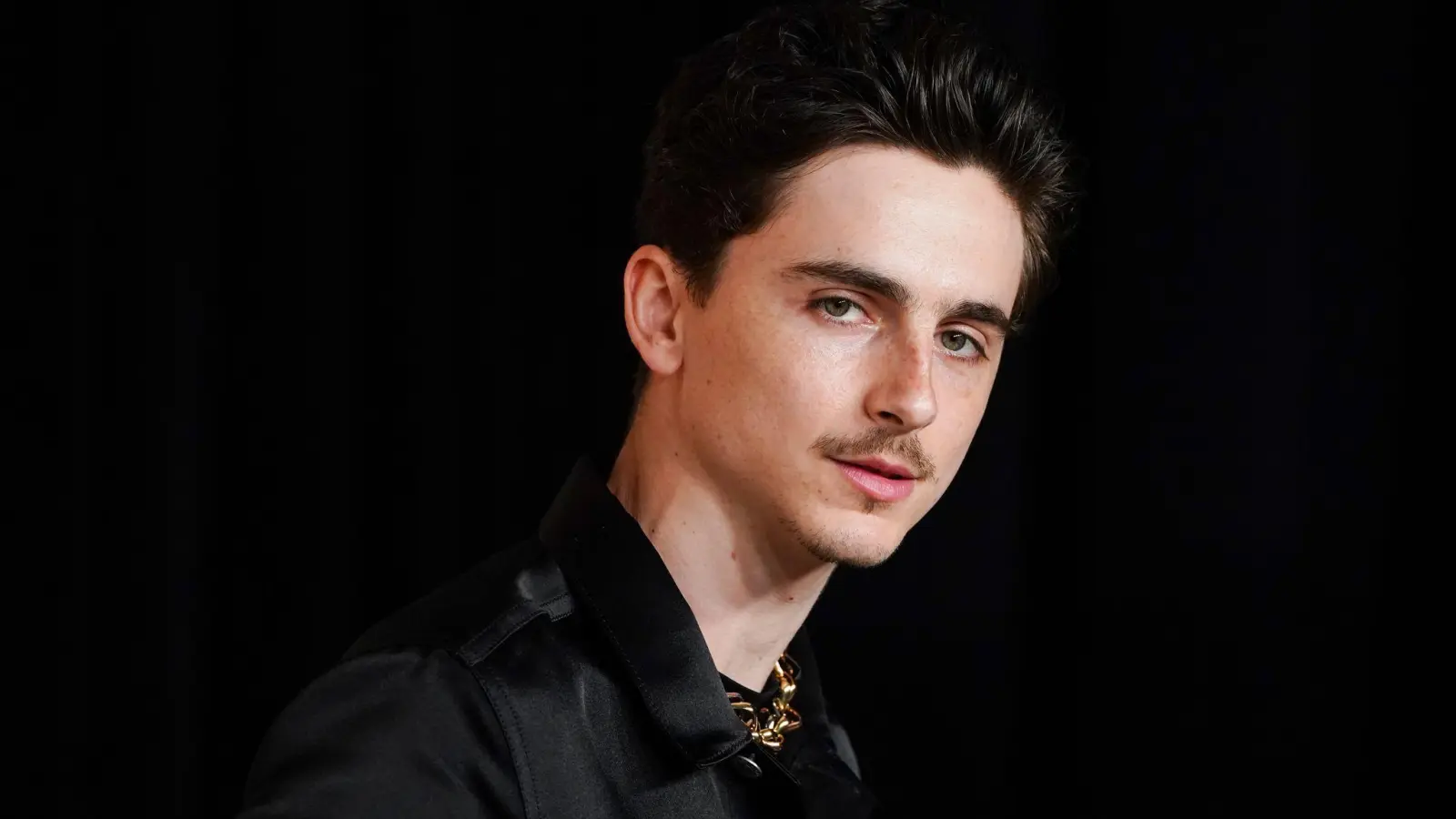 Nun geklärt? Chalamet führt wohl kein Doppelleben als Rapper. (Archivbild) (Bild: Jordan Strauss/Invision/dpa)