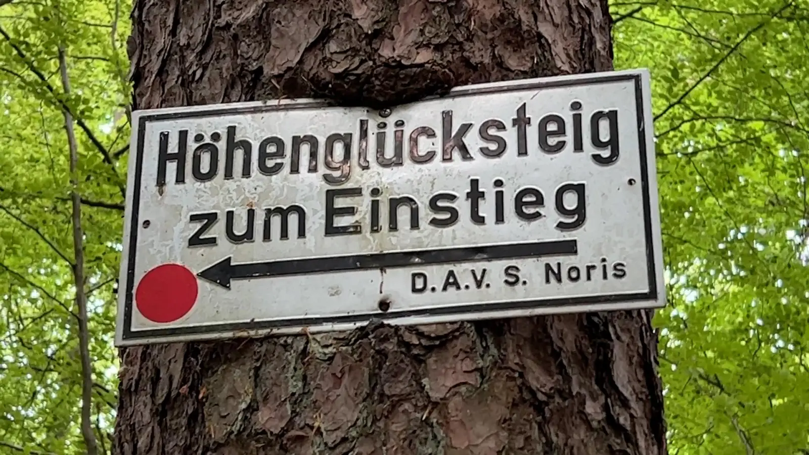 Auf dem Höhenglücksteig ist am Sonntag eine Kletterin verunglückt. Der Klettersteig bei Hirschbach ist bei Outdoor-Freunden sehr beliebt. (Bild: Heike Unger)