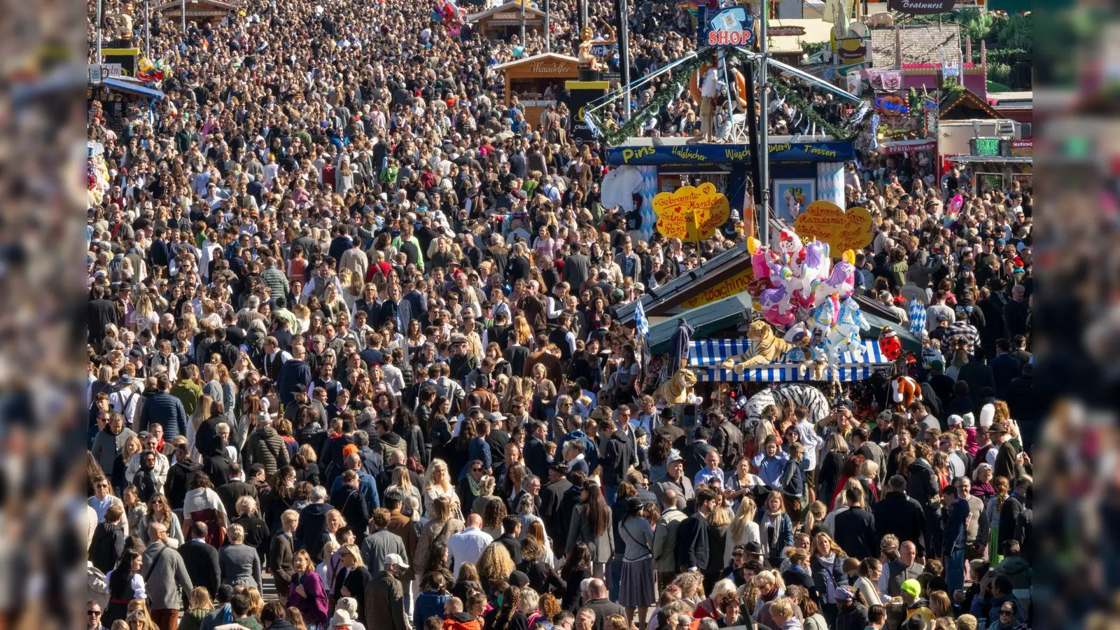 Gleich an zwei Tagen musste die Wiesn wegen Überfüllung geschlossen werden. (Bild: Peter Kneffel/dpa)
