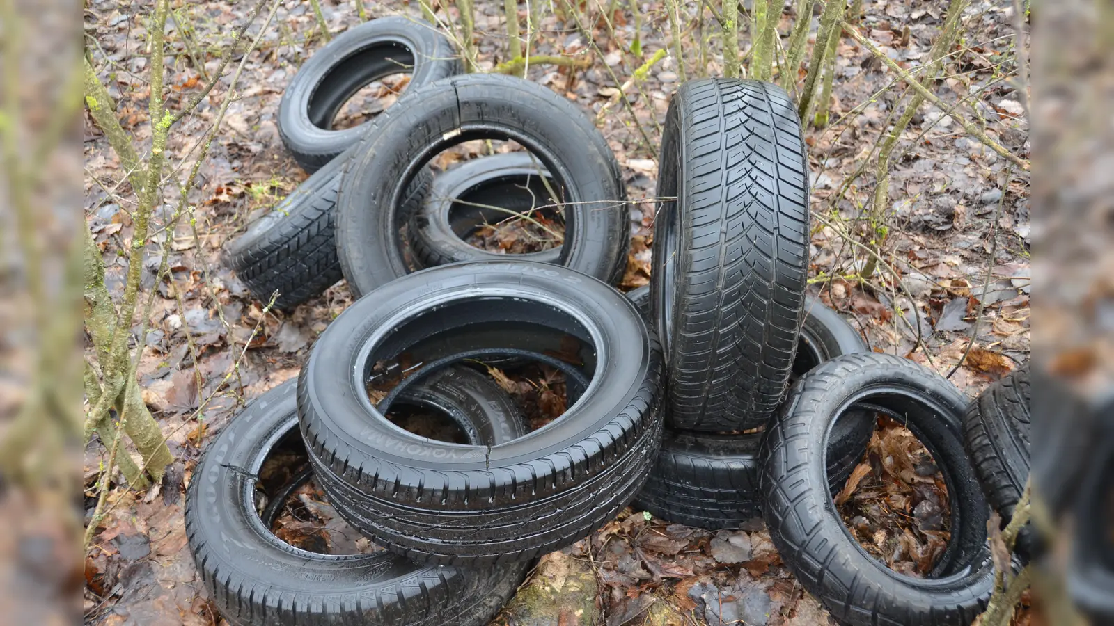 In Auerbach in der Oberpfalz wurde illegal Müll entsorgt. Die Polizei sucht nach Hinweisen auf die Täter. (Symbolbild: dob)
