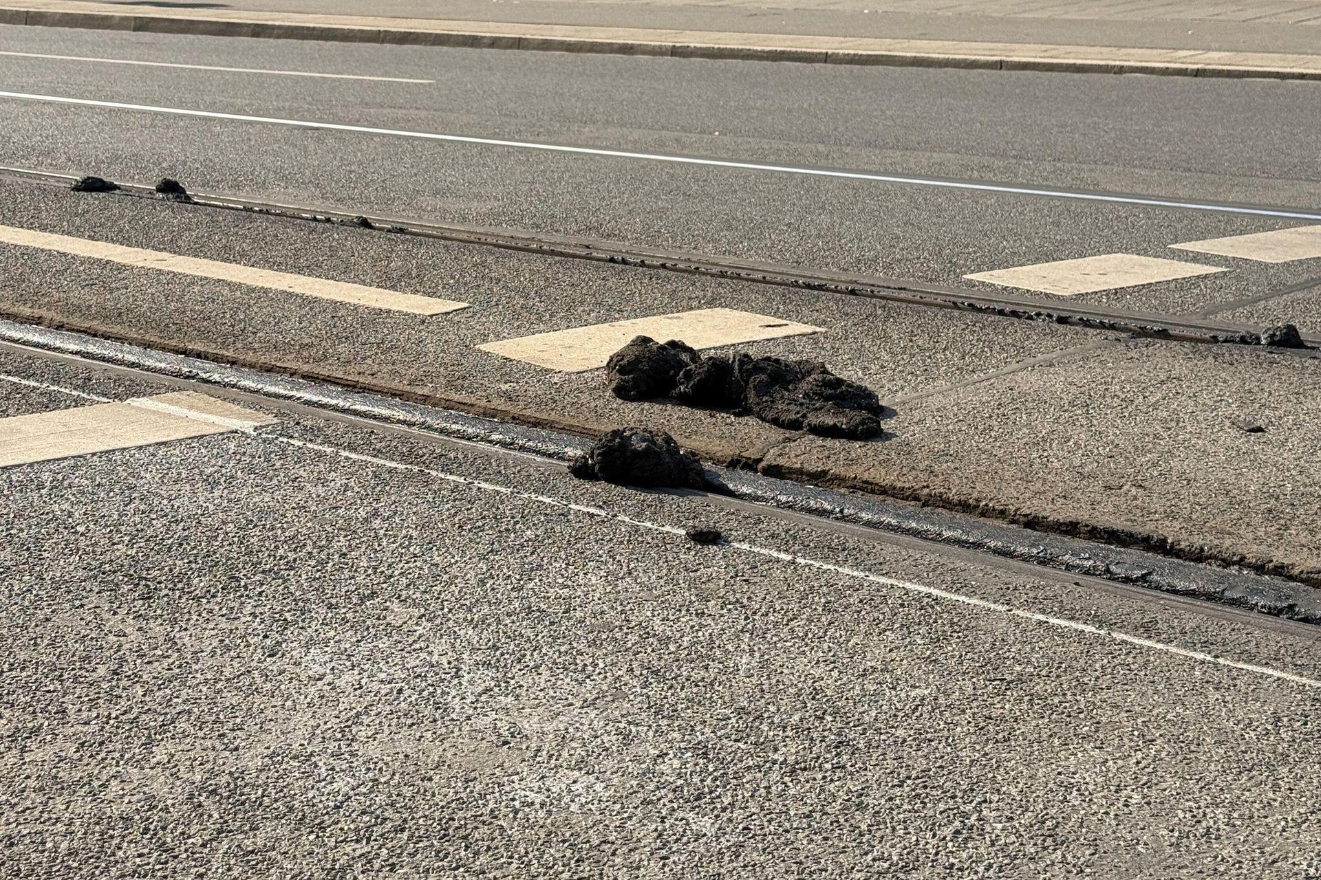 Die Hitze hat den Straßenbelag der VAG zufolge an manchen Stellen so weich werden lassen, dass die Straßenbahnen nicht mehr sicher fahren können.  (Bild: Irena Güttel/dpa)