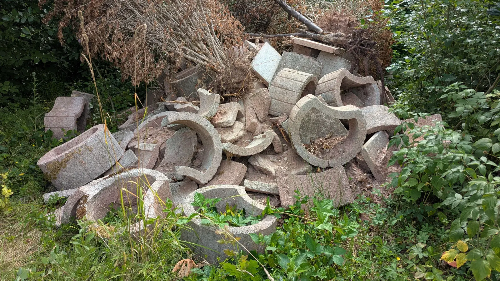 Pflanzsteine sowie vertrockneter Sträucher wurden im Industriegebiet Nord illegal entsorgt. Die Stadt Amberg bittet um Hinweise. (Bild: Ulrike Höcht)