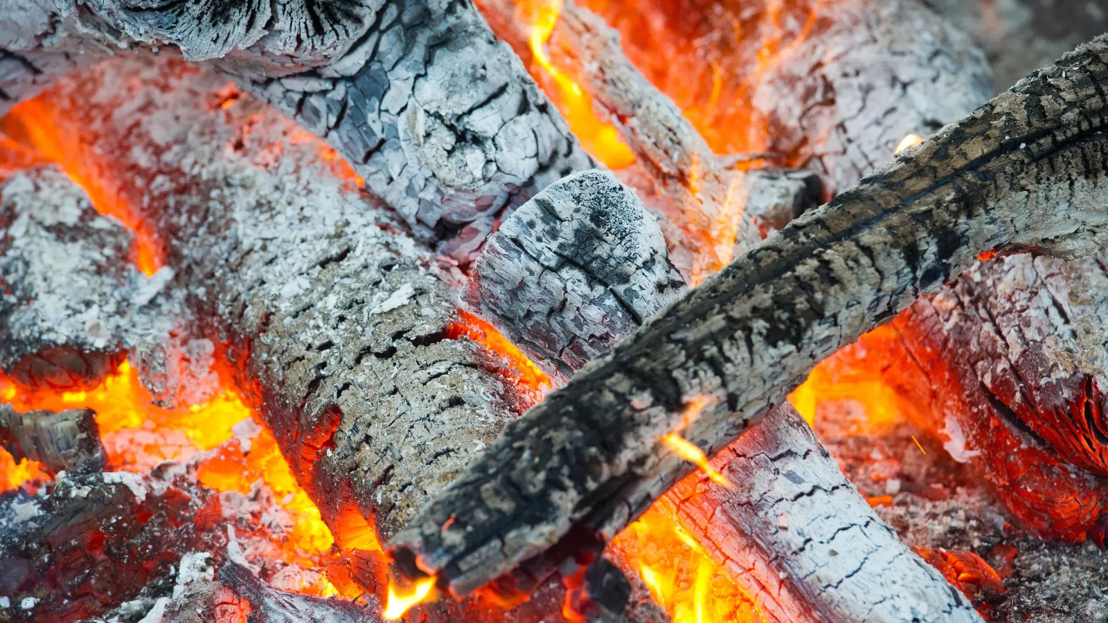 Ein Unbekannter drang in einen Garten in Amberg ein und entzündete dort ein Lagerfeuer. (Symbolbild: Patrick Pleul/dpa)