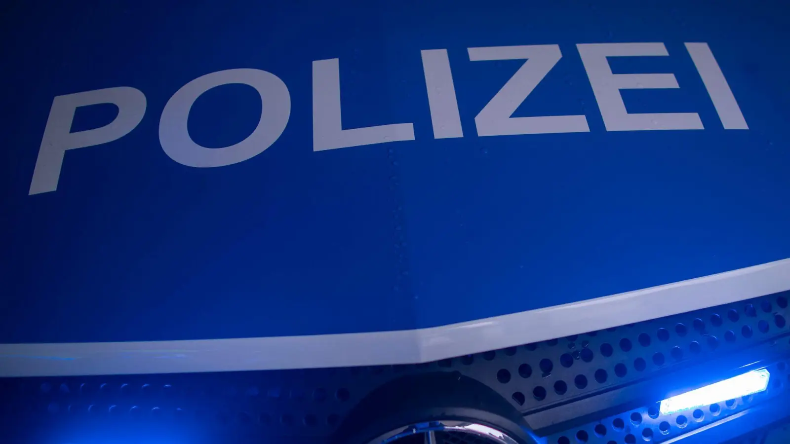 Die Polizei hatte es in Sulzbach-Rosenberg mit vier Heranwachsenden zu tun, die es faustdick hinter den Ohren hatten.  (Bild: Jens Büttner/dpa-Zentralbild/ZB)