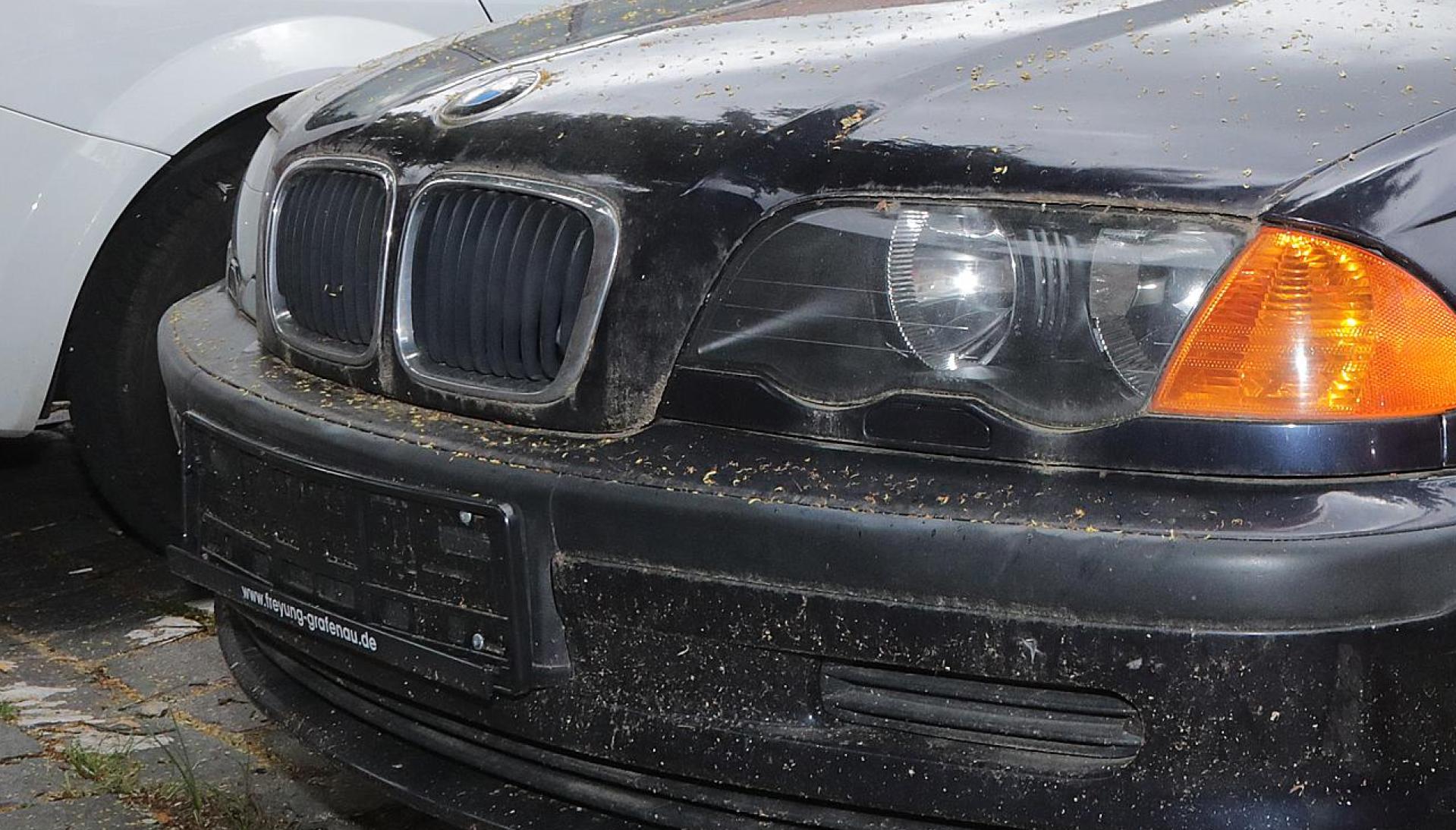 Kein Kennzeichen mehr: In Auerbach haben Nummernschild-Diebe zugeschlagen (Symbolbild: Wolfgang Steinbacher)