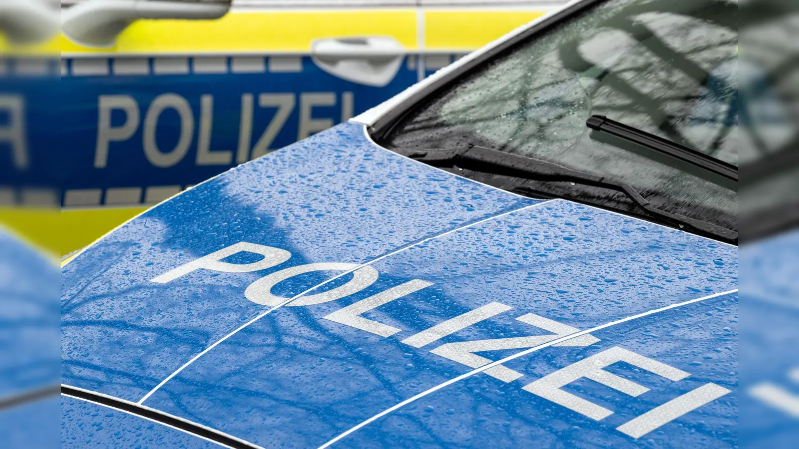 Derzeit findet an der Realschule in der Max-Reger-Straße in Hof ein Großeinsatz der Polizei statt. (Symbolbild: Soeren Stache/dpa)