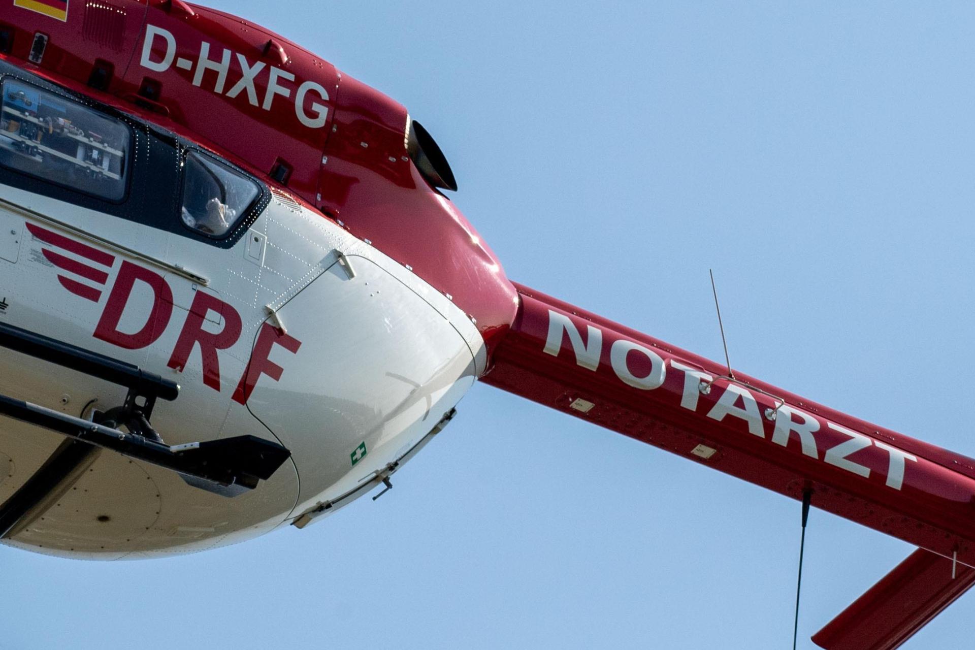 Ein 14-Jähriger zog sich bei Waldarbeiten schwere Kopfverletzungen zu. (Symbolbild: Stefan Sauer/dpa)