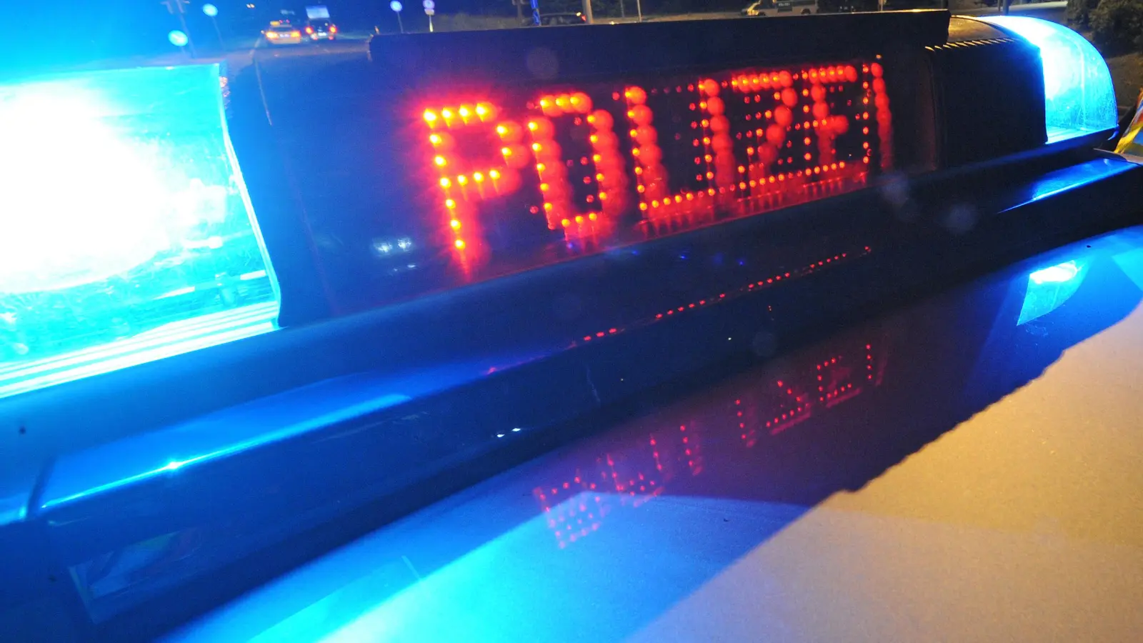Die Autobahnpolizeistation Schwandorf entdeckte bei einer Fahrzeugkontrolle auf der A 93 bei Schwarzenfeld elf Hundewelpen in einem Kofferraum. (Symbolbild: Patrick Seeger/dpa)