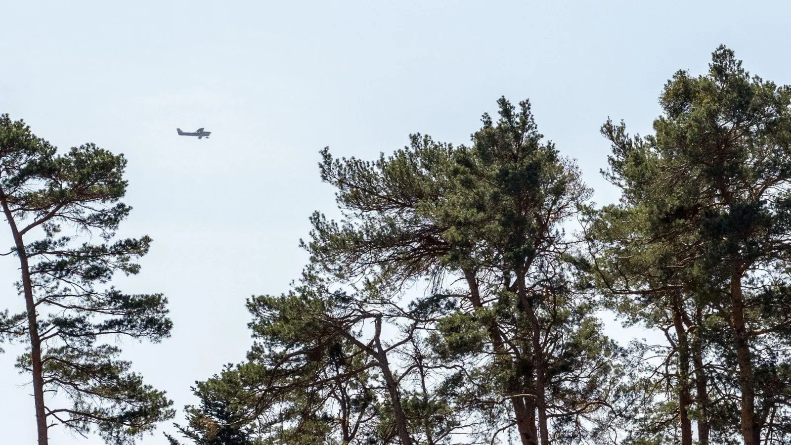 Wegen der Wetterlage finden in der Oberpfalz in den kommenden Tagen Waldbrand-Überwachungsflüge statt. (Archivbild: Pia Bayer/dpa)