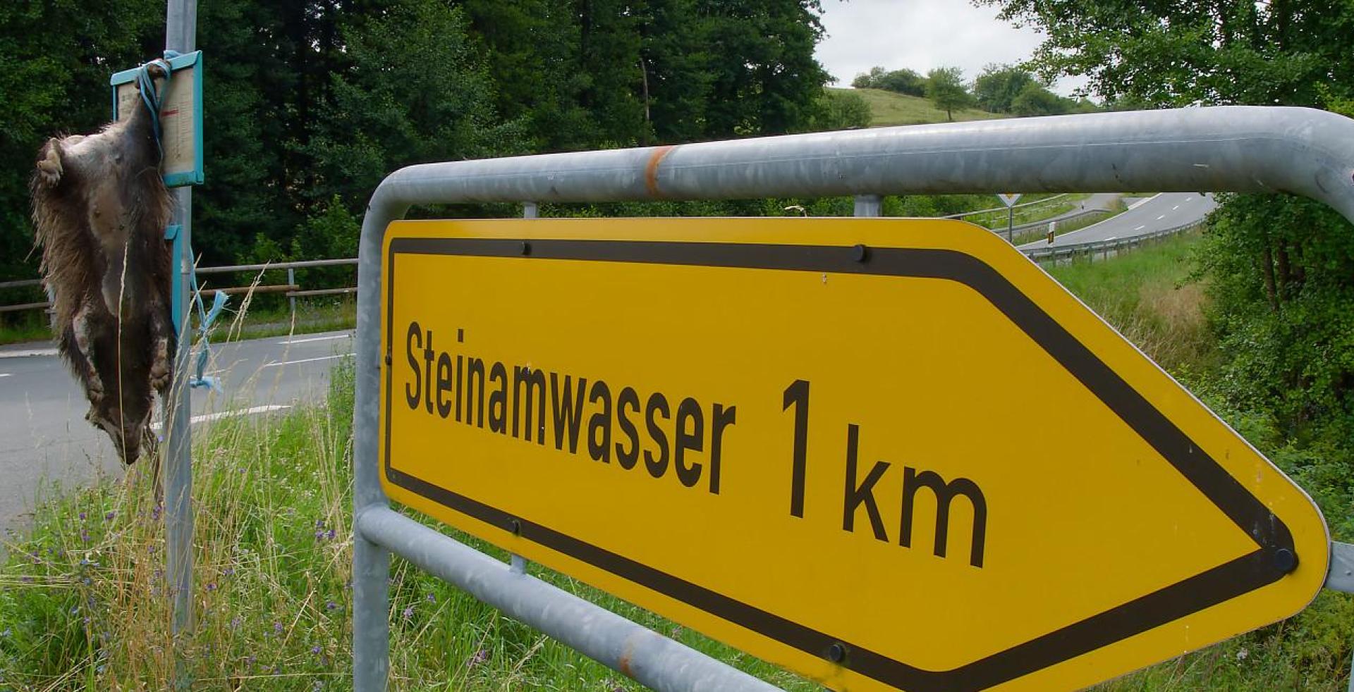 Bei der Abzweigung nach Steinamwasser hing der tote Dachs an einem Verkehrsschild. (Bild: Emil Jenne, Verlag Mensch und Gedanke)