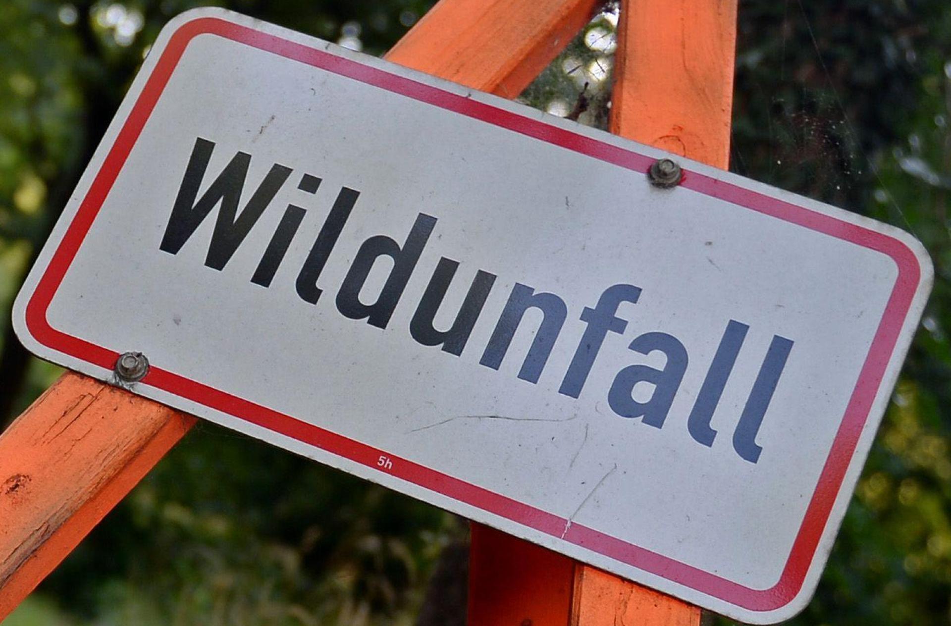 Ein Wildunfall auf der Ortsverbindungsstraße zwischen Neukirchen und Schönlind wurde erst zwei Stunden nach der Kollision mit einem Reh bei der Polizei gemeldet. (Symbolbild: Susann Prautsch/dpa)