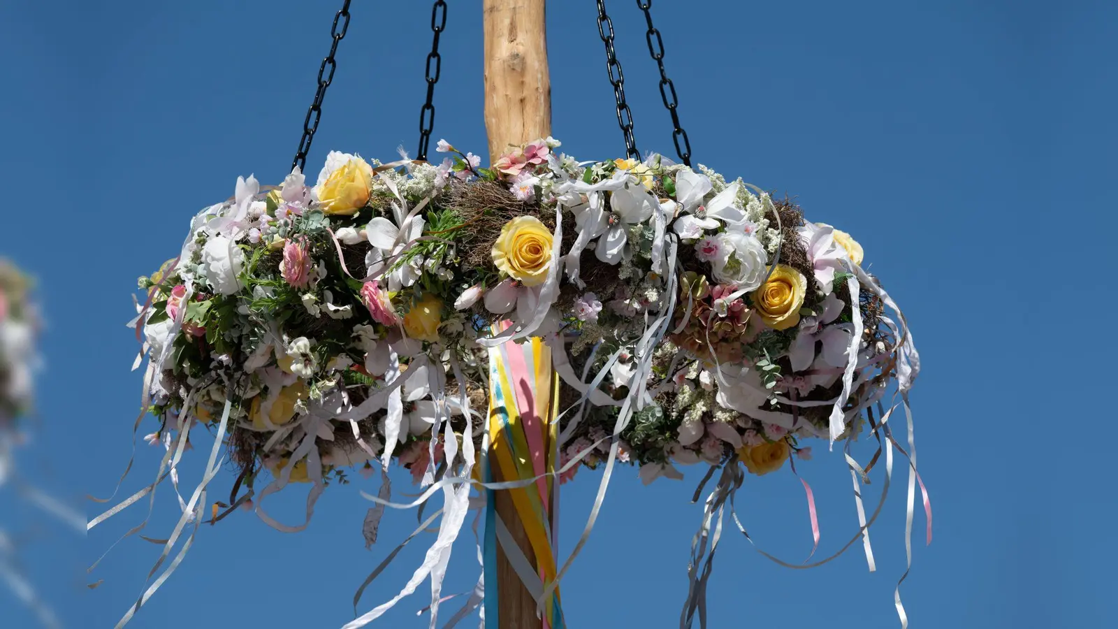 Maibaum oder Kirwabaum, das ist die Frage. (Symbolbild: Stefan Sauer/dpa)