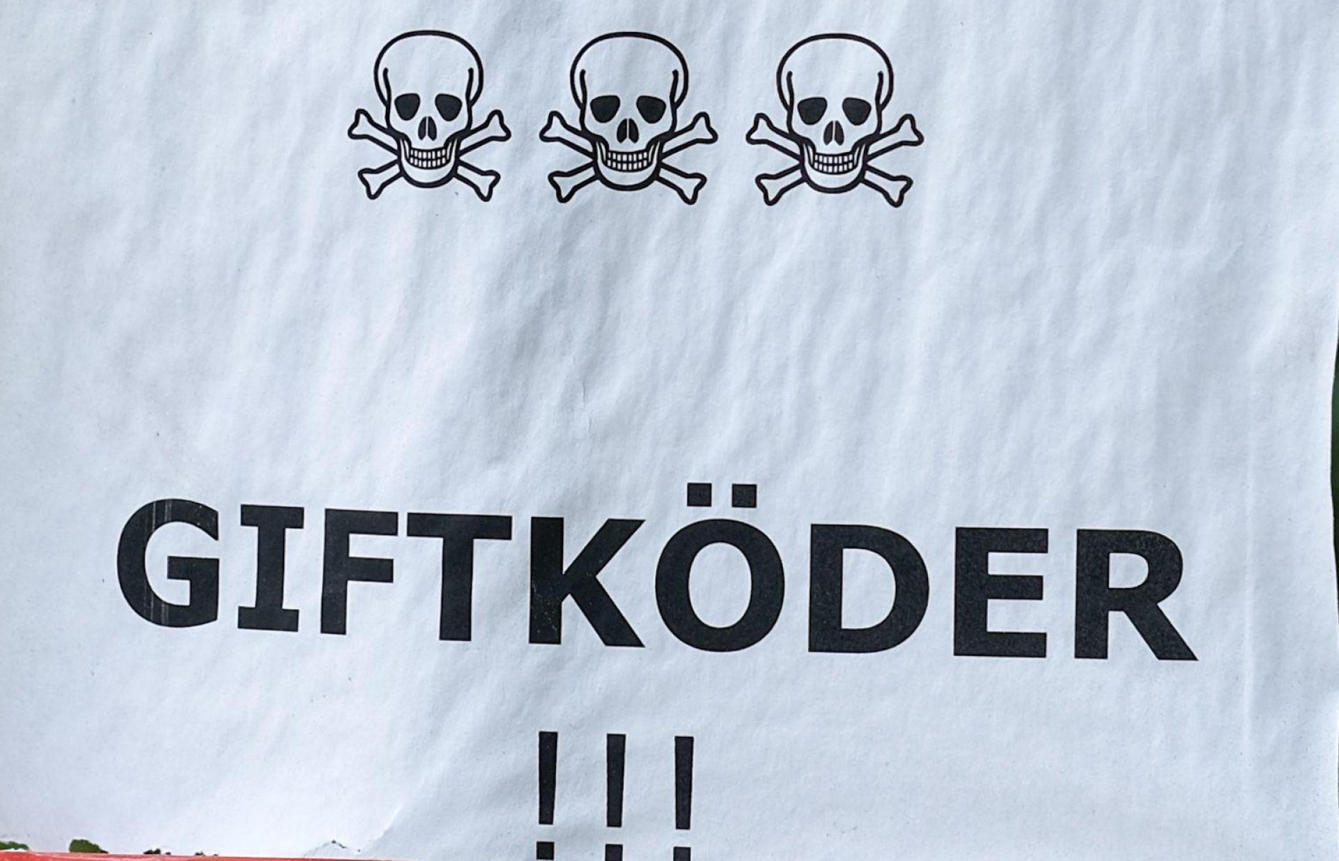 Ein Hund erkrankte schwer nach dem Verzehr von Giftködern in Postbauer-Heng. Die Polizei ermittelt und sucht Zeugen. (Symbolbild: Jens Kalaene/dpa)