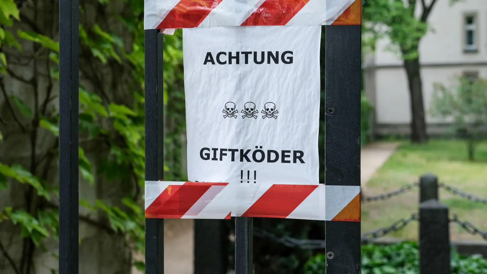 Ein Hund erkrankte schwer nach dem Verzehr von Giftködern in Postbauer-Heng. Die Polizei ermittelt und sucht Zeugen. (Symbolbild: Jens Kalaene/dpa)