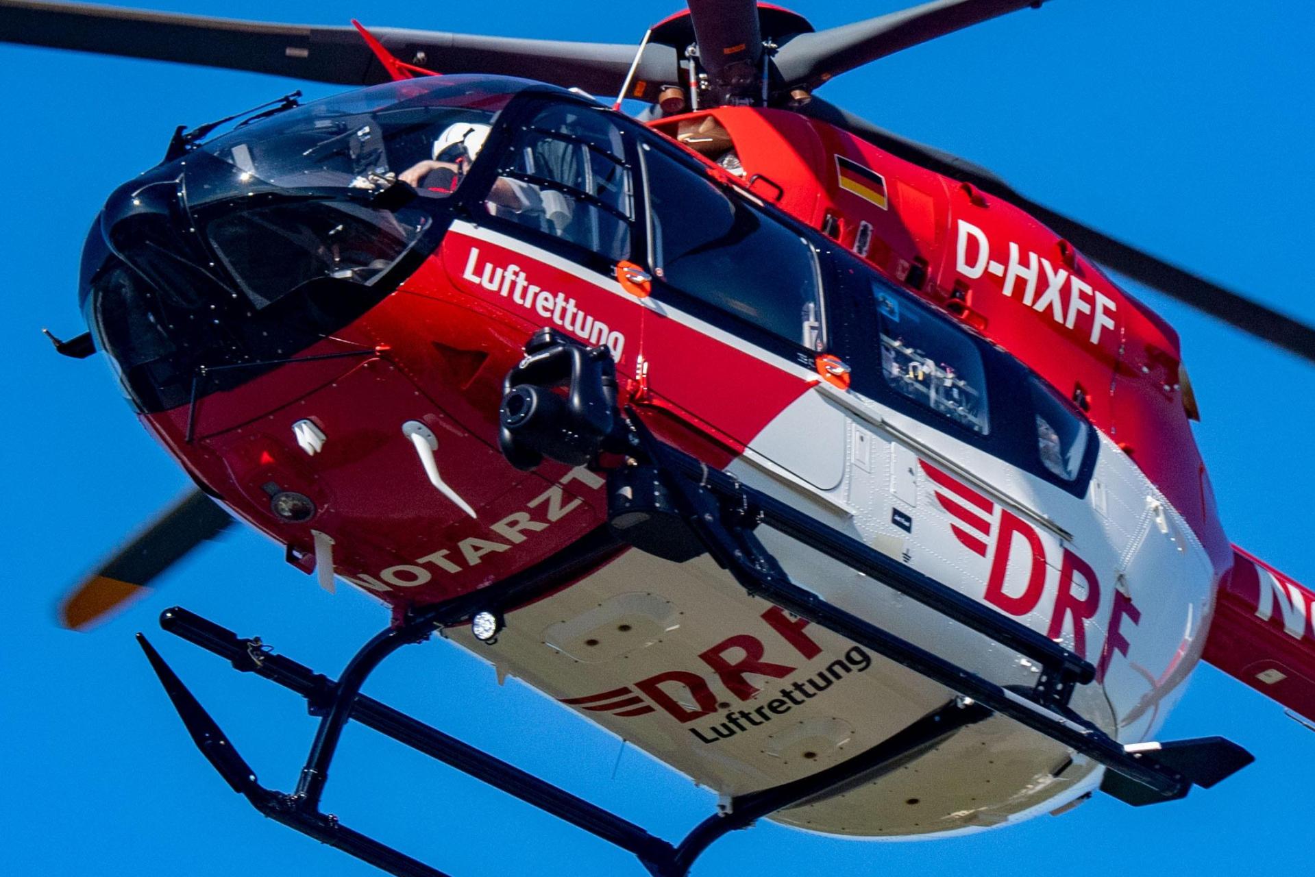 Ein 57-Jähriger wurde bei einem Unfall bei Waldarbeiten schwer verletzt. (Symbolbild: Stefan Sauer/dpa)