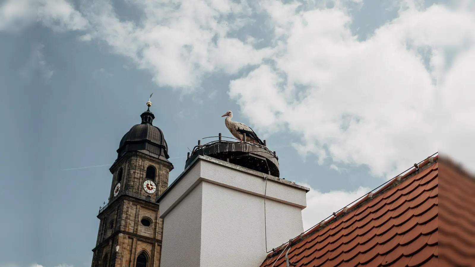 Das Storchenpaar hat sein Nest auf dem Dach des Bootshauses Amberg wieder bezogen. Durch eine neu installierte Storchenkamera kann das Geschehen im Nest nun hautnah miterlebt werden.  (Bild: Anna Bogner)