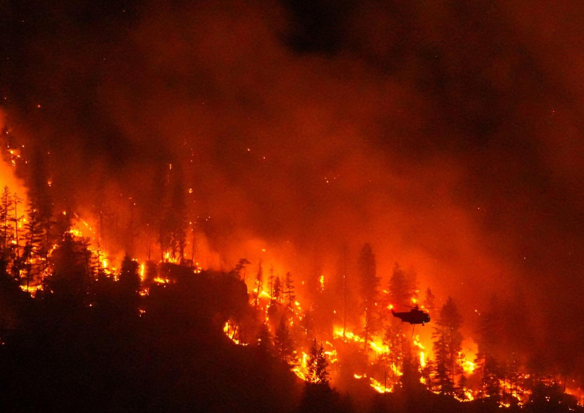 Mit einer sich erhöhenden Ausbreitungsgeschwindigkeit nimmt auch die Intensität der Feuer zu. (Bild: Darryl Dyck/The Canadian Press via AP/dpa)