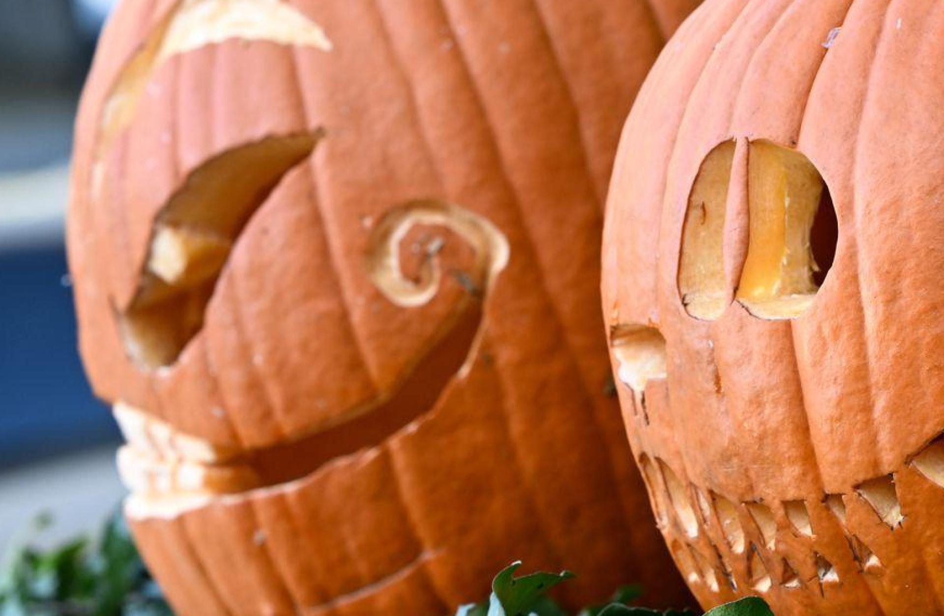 Die Polizei in der Oberpfalz ruft zu einem verantwortungsvollen Umgang mit Halloween-Streichen auf. (Bild: Polizei Oberpfalz)