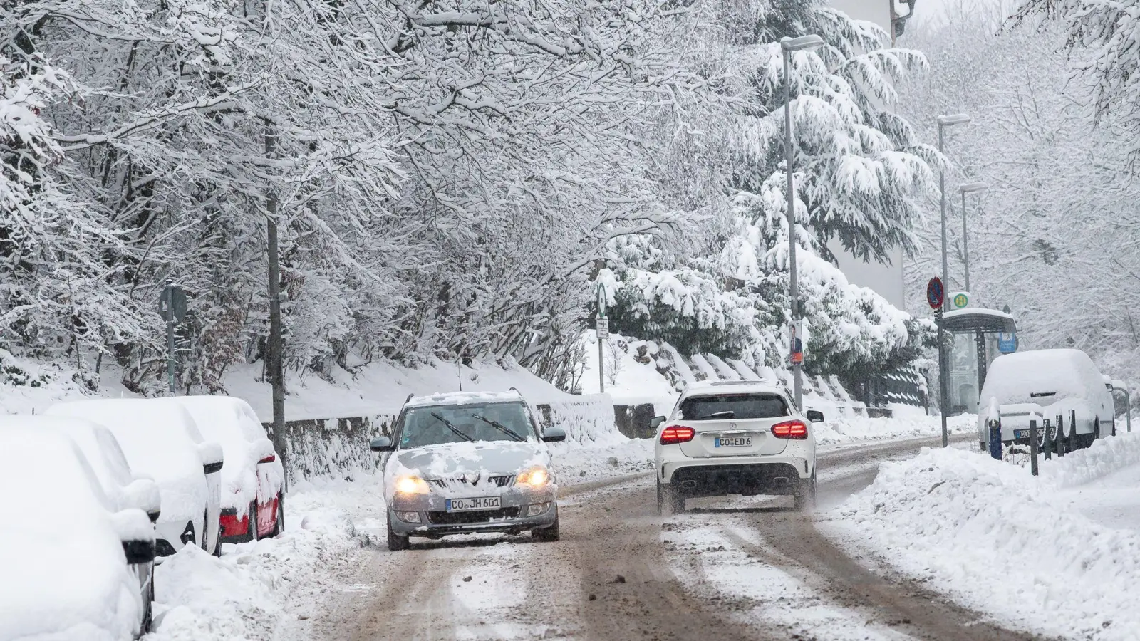 Das Winterwetter in Bayern hat viele Auswirkungen – Bäume, die unter der Schneelast zusammenbrechen, führen beispielsweise zu Unfällen. (Symbolbild: Daniel Vogl/dpa)