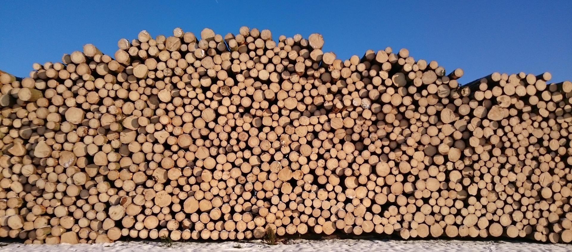 Unbekannte Täter entwenden 18 Ster Holz von einem Lagerplatz in Kastl. Die Polizei ermittelt und sucht Zeugen. (Symbolbild: dob)